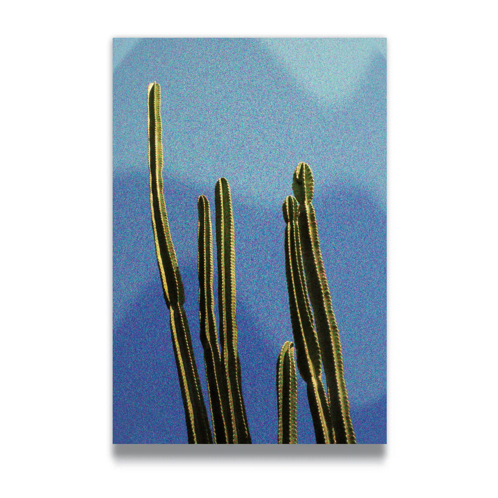 CACTI - Vigil