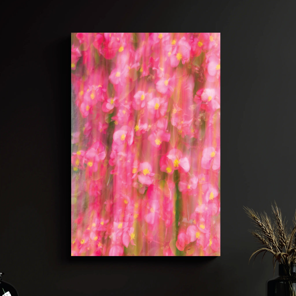 FLOWERS IN MOTION - Vigil