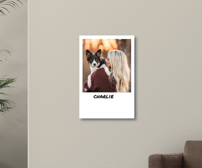 POLAROID - CUSTOM METAL POSTER - Vigil