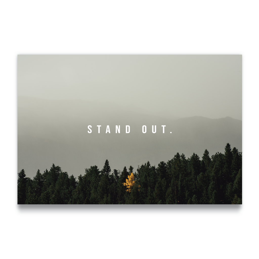STAND OUT - Vigil